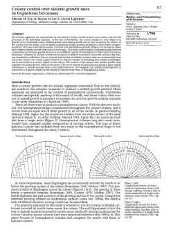 Colony control over skeletal growth rates in trepostome bryozoans