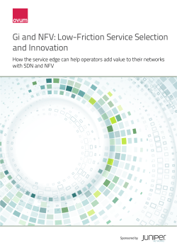 Gi and NFV: Low-Friction Service Selection and