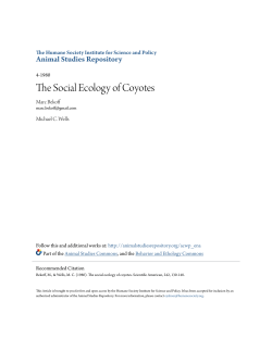 The Social Ecology of Coyotes