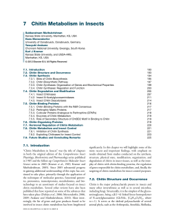 7 Chitin Metabolism in Insects