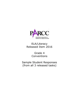 Conventions - Sample Student Responses