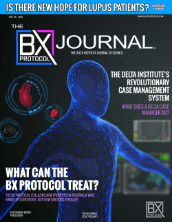 BX Journal Issue 7