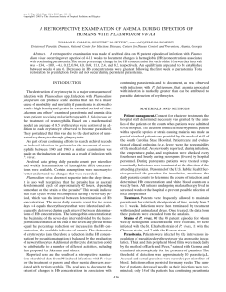 as a PDF