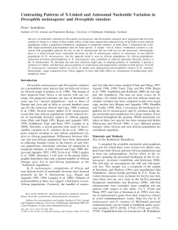 Contrasting Patterns of X-Linked and Autosomal Nucleotide
