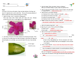 Flowers Lab With Pollinator KEY