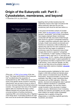 Origin of the Eukaryotic cell: Part II - Cytoskeleton