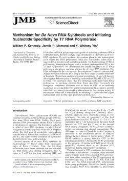Mechanism for De Novo RNA Synthesis and Initiating Nucleotide