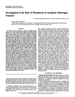 Investigation Of The Role Of Phosphorus In Symbiotic Dinitrogen