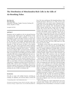 The Distribution of Mitochondria-Rich Cells in the Gills of Air