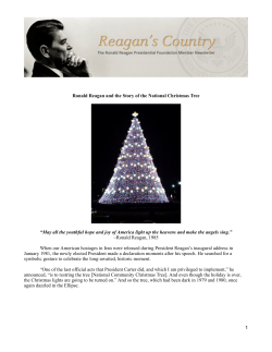 Essay - The National Christmas Tree