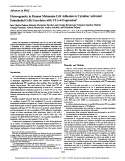 Heterogeneity in Human Melanoma Cell