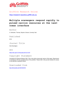ocean interface - Griffith Research Online