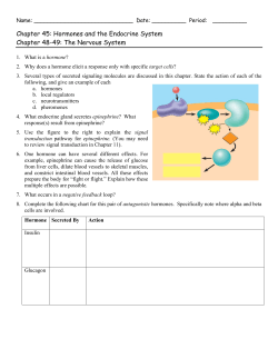Chapter 45: Hormones and the Endocrine System