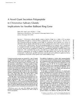 A Novel Giant Secretion Polypeptide in Chironomus Salivary Glands