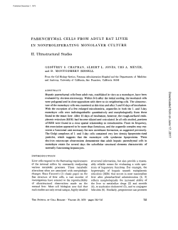 PARENCHYMAL CELLS FROM ADULT RAT LIVER IN