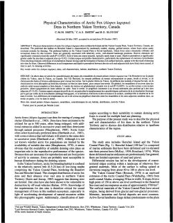 Physical Characteristics of Arctic Fox
