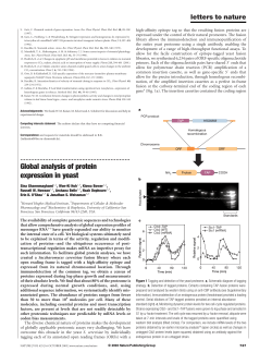 Global analysis of protein expression in yeast