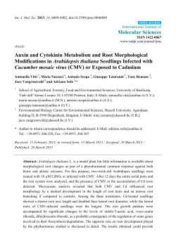 Full-Text PDF