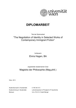 diplomarbeit - E
