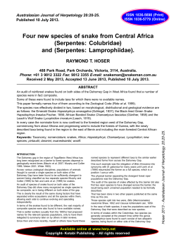 Four new species of snake from Central Africa