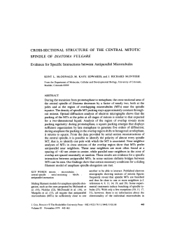 CROSS-SECTIONAL STRUCTURE OF THE