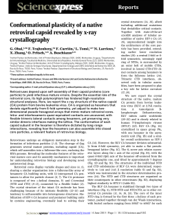 Conformational plasticity of a native retroviral capsid revealed by x