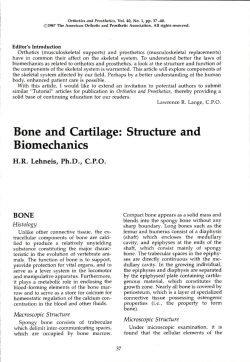 Bone and Cartilage: Structure and Biomechanics