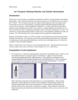 Ion Transport, Resting Potential, and Cellular Homeostasis