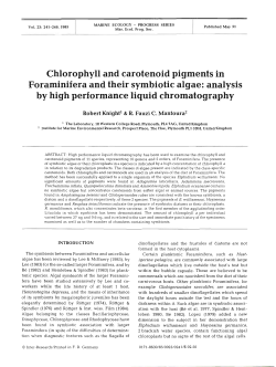 Chlorophyll and carotenoid pigments in Foraminifera and their