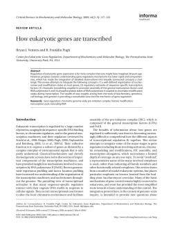 How eukaryotic genes are transcribed