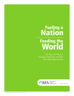 Fueling a nation - Feeding the world - Biofuels Co