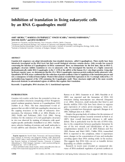 Inhibition of translation in living eukaryotic cells by an RNA G