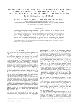 JMS 70_3 283-295 eyh032 FINAL