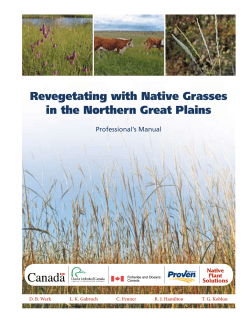 Revegetating with Native Grasses in the Northern Great Plains