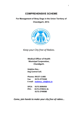 Keep your City free of Rabies.