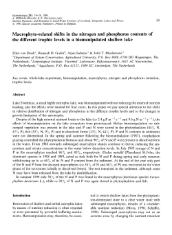 Macrophyte-related shifts in the nitrogen and phosphorus contents