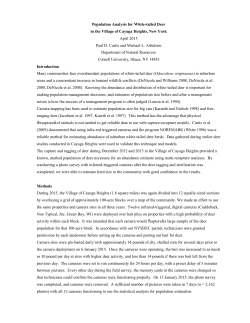 Population Analysis for White-tailed Deer in the Village of Cayuga