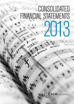calvi holding &ndash; abstract consolidated balance sheet 2013