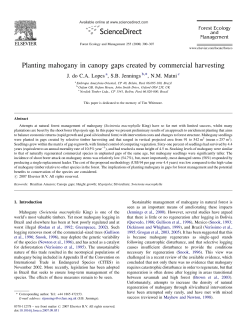 Planting mahogany in canopy gaps created by - Ainfo