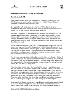 Homily for the Feast of Our Lady of Guadalupe