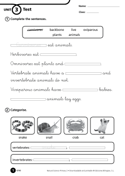 Carnivore&int; eat animal&int;. Herbivore&int; eat . Omnivore&int; eat plant