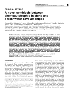 A novel symbiosis between chemoautotrophic bacteria and a