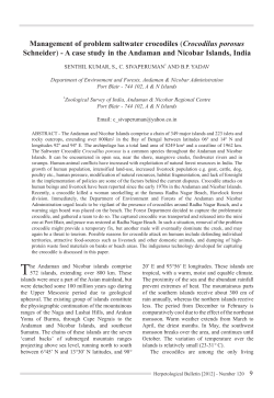 Management of problem saltwater crocodiles (Crocodilus porosus