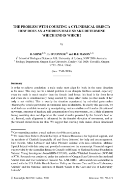 the problem with courting a cylindrical object: how does an amorous