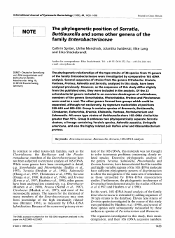 The phylogenetic position of Serratia, Buttiauxella and some other