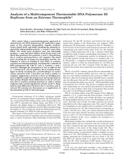 Analysis of a Multicomponent Thermostable DNA Polymerase III