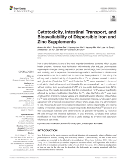 Cytotoxicity, Intestinal Transport, and Bioavailability of Dispersible