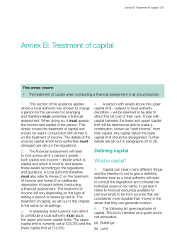 Annex B: Treatment of Capital