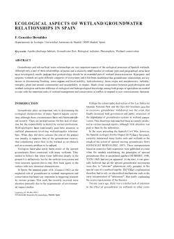 ecological aspects of wetland groundwater relationships
