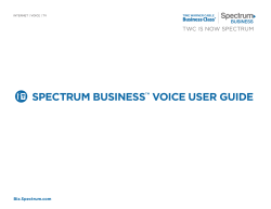 SPECTRUM BUSINESS&trade; VOICE USER GUIDE